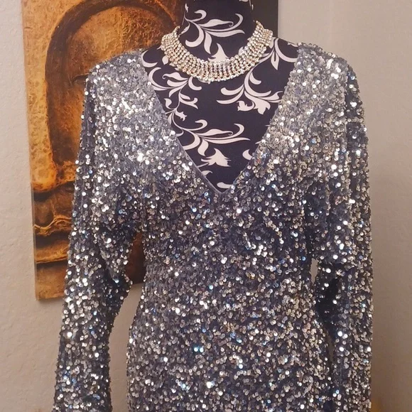 Silver Sequin Dress - Picture 1 of 4